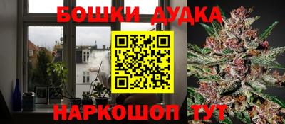 шишки Пугачёв