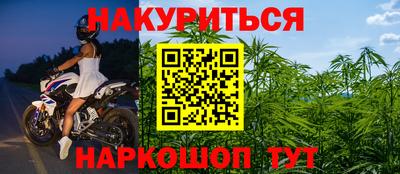 шишки Пугачёв