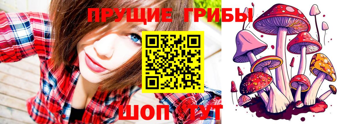 Галлюциногенные грибы мухоморы  Вход с VPN  наркошоп  Рассказово 