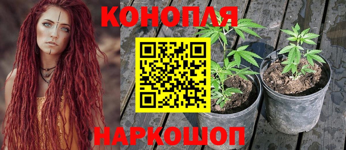 МАРИХУАНА конопля  Шишки марихуана семена  Конопля MAZAR  Бошки марихуана план  Вход с VPN  Рассказово 